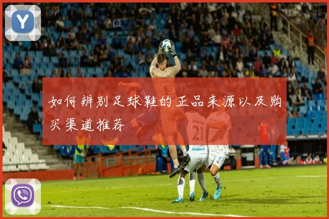 如何辨别足球鞋的正品来源以及购买渠道推荐